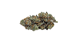 medicalhigh.ca | Coffin Candy (INDICA)7b4e70_5d847b3427ce4fe4b7fbdacf6d8791df~mv2 (2) Coffin Candy (INDICA) - Image 3