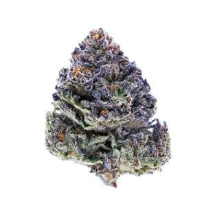 medicalhigh.ca | Mix & Match Cannabis Sampler Bundle (Build your own)7b4e70_62f846196f7a4e0ba9bb05d90041e6e2~mv2