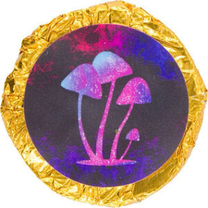 Star Mushroom – Golden Teacher Chocolate 2500MG