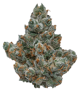 medicalhigh.ca | Coffin Candy (INDICA)7b4e70_ba5b6dd05119454abbc181c38f12b8c0~mv2 (1) Coffin Candy (INDICA) - Image 4