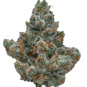 medicalhigh.ca | Mix & Match Cannabis Sampler Bundle (Build your own)7b4e70_ba5b6dd05119454abbc181c38f12b8c0~mv2