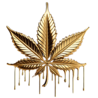 medicalhigh.ca|Home-Untitled design