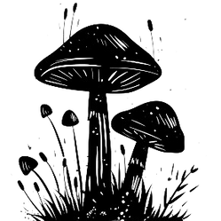 medicalhigh.ca|Home-mushroom-silhouette-silhouette-of-forest-mushrooms-GJwxyu57_t