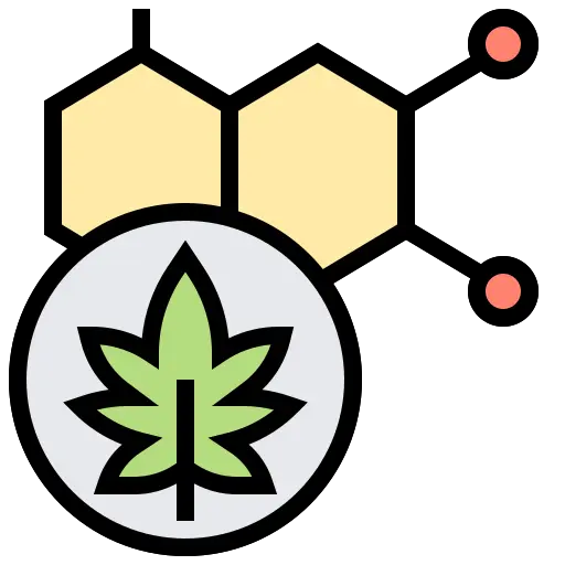 medicalhigh.ca | Mega Tranquility Green Apple Gummies – CBD 1250mg • CBG 625mg • CBN 1250mg (25 Pack)cannabis (1)cannabis (1)cannabis (1) cannabis (1)