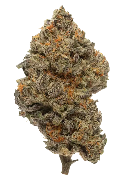 death bubba strain cannabis buds