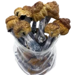 Machine Elf Magic Mushrooms