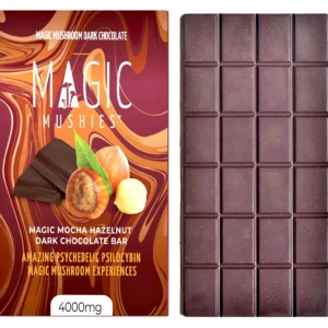 buy mushroom chocolate online