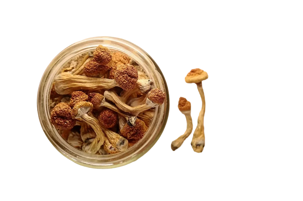 Buy Shrooms Online