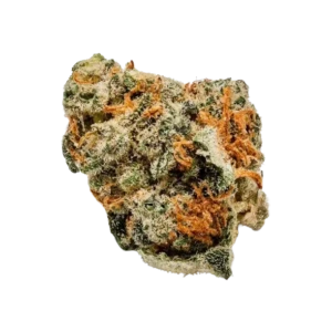 Pink Kush indica cannabis strain with dense frosty buds