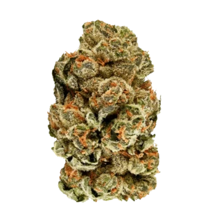 Lollipop Lush Sativa cannabis strain – sweet candy flavoured premium weed