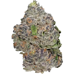 Blue Dream cannabis strain for weed delivery in Canada