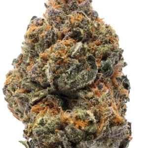 strain bruce banner weed canada