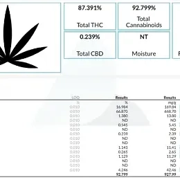 medicalhigh.ca | THC Honey Oil Syringe (800mg)Thick cannabis honey oil concentrate high THC extractThick cannabis honey oil concentrate high THC extractThick cannabis honey oil concentrate high THC extract Thick cannabis honey oil concentrate high THC extract