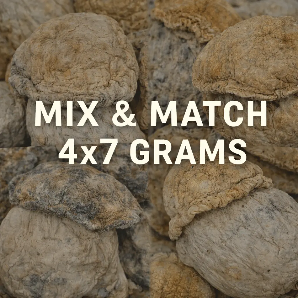 medicalhigh.ca|(4 x 7 Grams) – Mushroom Mix & Match_Mushroom Mix & Match