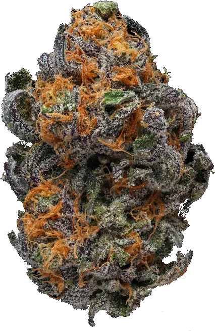 Coconut Crush Strain