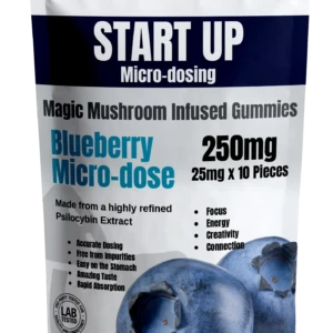 Magic Mushroom Microdose Gummies 