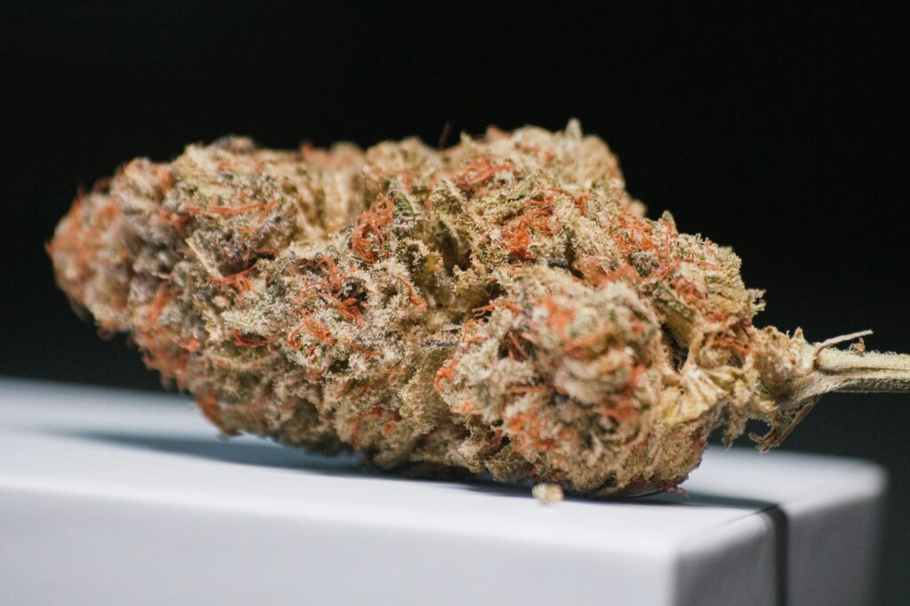 Same day weed delivery Calgary