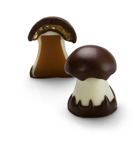 Mushroom Chocolate