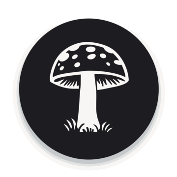 medicalhigh.ca|Mushroom Chocolateshrooms chocolate