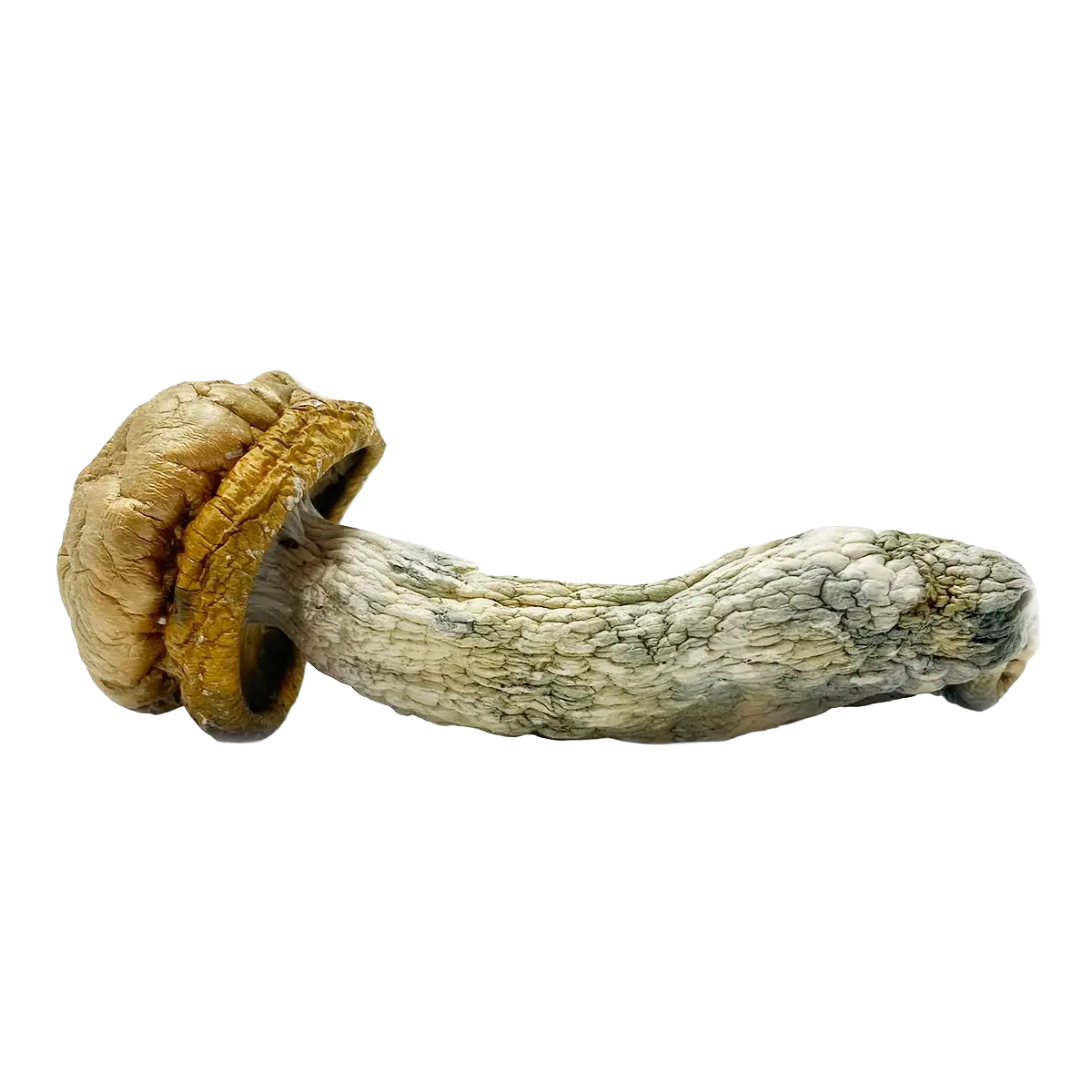 medicalhigh.ca | The Awakening BatchThe Awakening BatchThe Awakening Batch The Awakening Batch