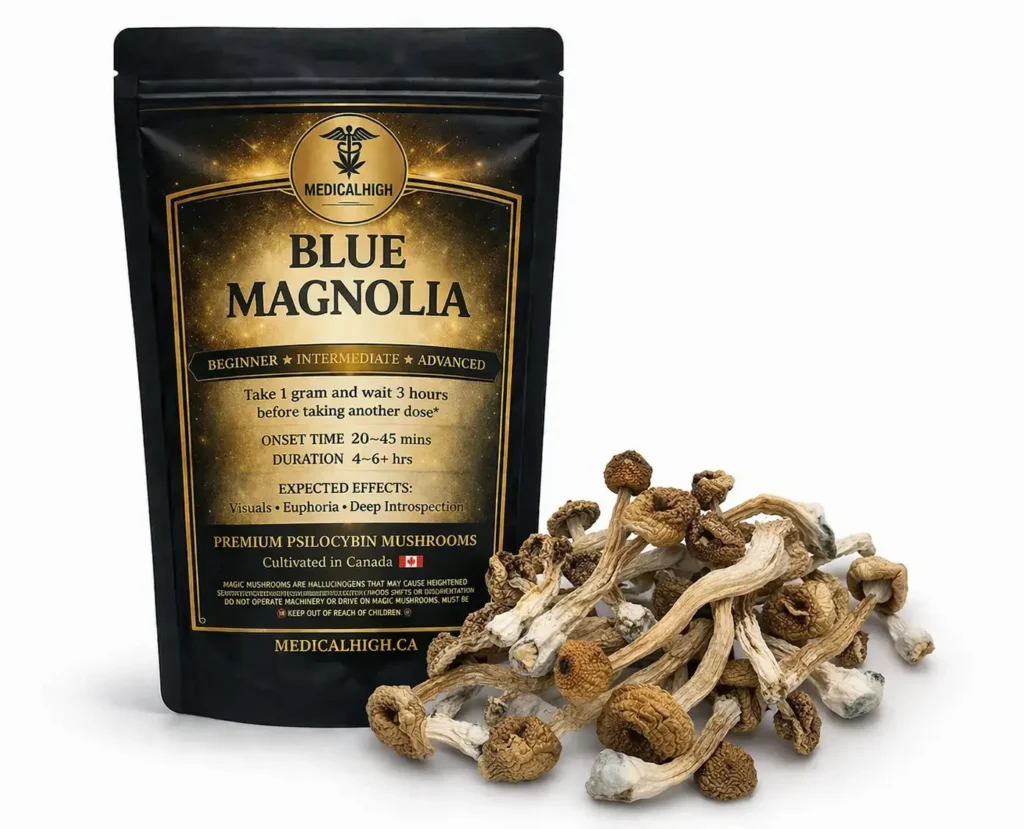 Blue Magnolia Magic Mushrooms package