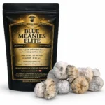 Blue Meanies Elite Magic Mushroom